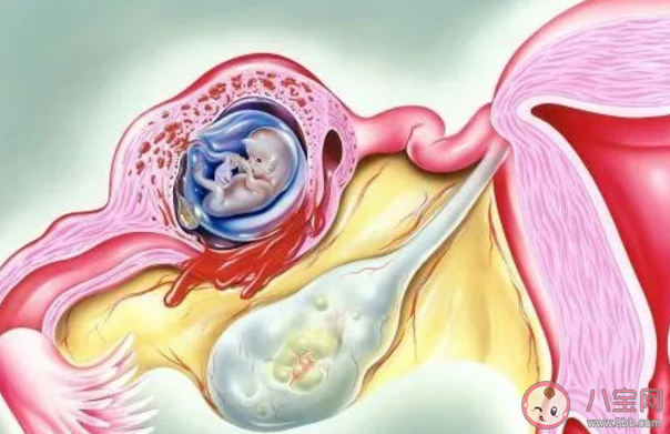 驗(yàn)孕棒怎么用比較準(zhǔn) 驗(yàn)孕棒一深一淺是懷孕了嗎2020