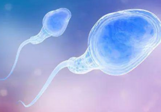 精子畸形率高是什么原因 精子畸形率高怎么辦