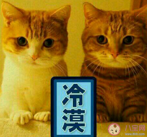 抖音ky是什么梗 ky是什么意思含義 抖音ky是什么梗 ky是什么意思含義