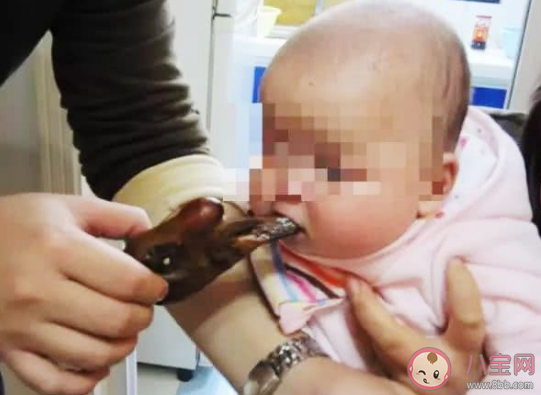 寶寶開葷是必須的嗎  寶寶開葷太早太晚都不好