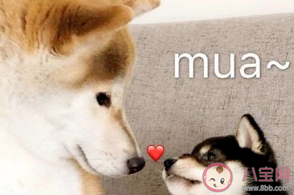 2020最佳領(lǐng)證日子是什么 下半年最佳領(lǐng)證時(shí)間盤點(diǎn) 2020最佳領(lǐng)證日子是什么 下半年最佳領(lǐng)證時(shí)間盤點(diǎn)