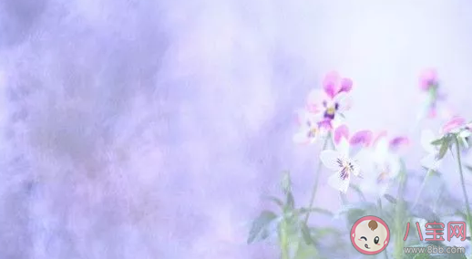 熊孩子怎么管教 家里有熊孩子父母怎么管教 熊孩子怎么管教 家里有熊孩子父母怎么管教