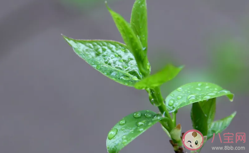 淚失禁體質自己怎么控制 淚失禁體質克服方法