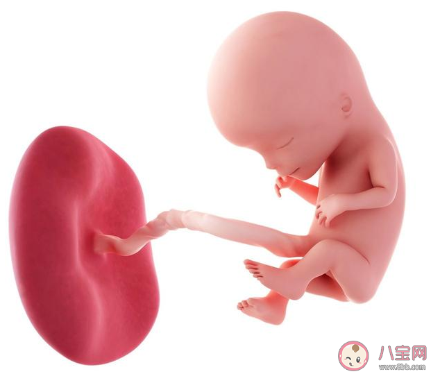 年齡越大越容易出現胎停育嗎 胚胎停育后多久才能夠再次備孕