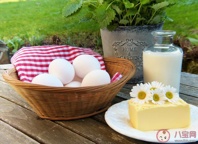 牛奶蛋白過敏的孩子可以喝羊奶/豆奶嗎 牛奶蛋白過敏要喝脫敏奶粉嗎