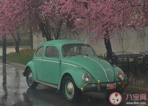 適合520領證發的朋友圈說說 2020領證的朋友圈文案