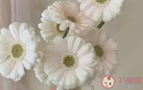 520領證官宣的心情句子 適合520領證的心情感慨 520領證官宣的心情句子 適合520領證的心情感慨