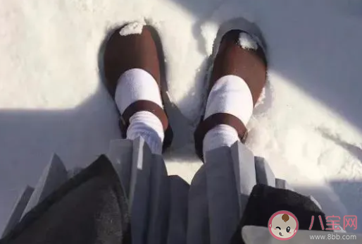 520領證官宣的心情句子 適合520領證的心情感慨 520領證官宣的心情句子 適合520領證的心情感慨