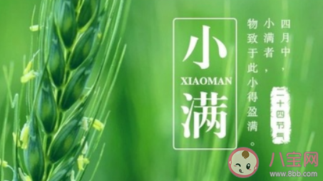 2020小滿節(jié)氣文案怎么寫 小滿節(jié)氣借勢文案大全