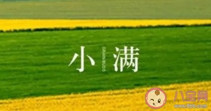 2020小滿節(jié)氣文案怎么寫 小滿節(jié)氣借勢文案大全