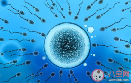 哪些女性適合做凍卵 建議做凍卵的4種女性