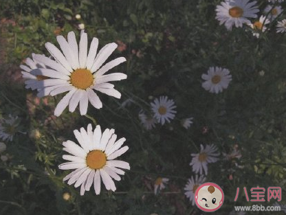 想在夏天談戀愛的原因 為什么喜歡在夏天談戀愛