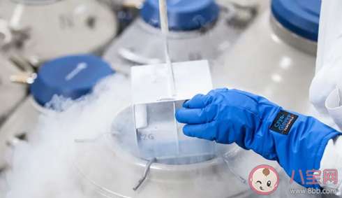 支持單身女性冷凍卵子嗎 為什么未婚女性不可以 支持單身女性冷凍卵子嗎 為什么未婚女性不可以