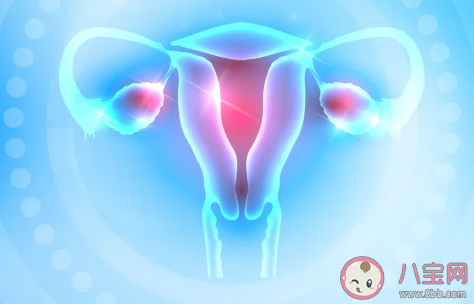 支持單身女性冷凍卵子嗎 為什么未婚女性不可以