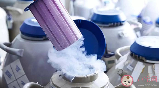 你能接受單身女性冷凍卵子嗎 冷凍卵子可以保持多久 你能接受單身女性冷凍卵子嗎 冷凍卵子可以保持多久