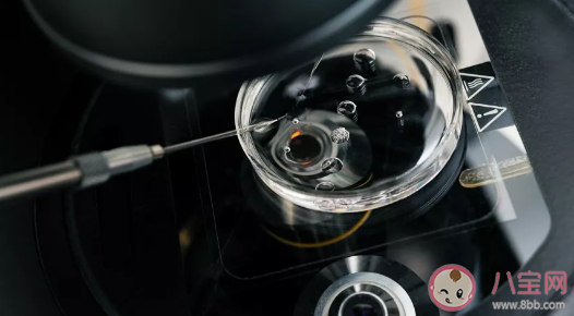 你能接受單身女性冷凍卵子嗎 冷凍卵子可以保持多久 你能接受單身女性冷凍卵子嗎 冷凍卵子可以保持多久