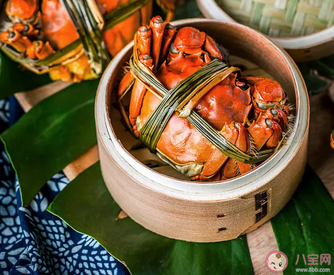 懷孕能吃小龍蝦和螃蟹嗎 懷孕吃小龍蝦要注意什么