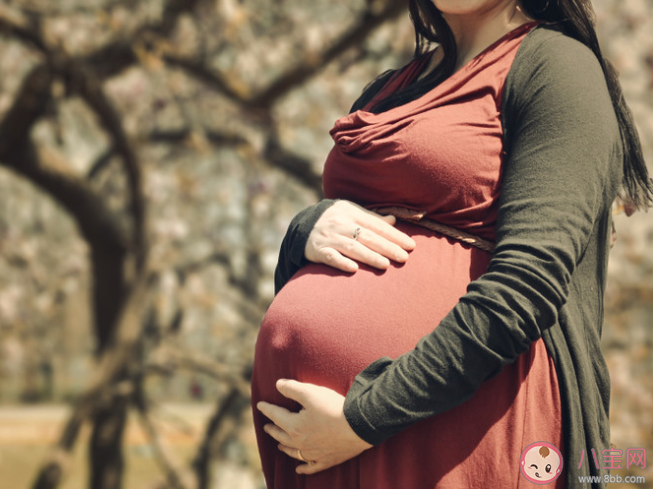 懷孕忌口食物有哪些 懷孕什么食物要忌口