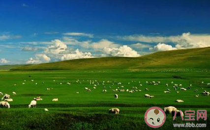 2020還沒來得及去的地方是哪里 最想去的地方城市