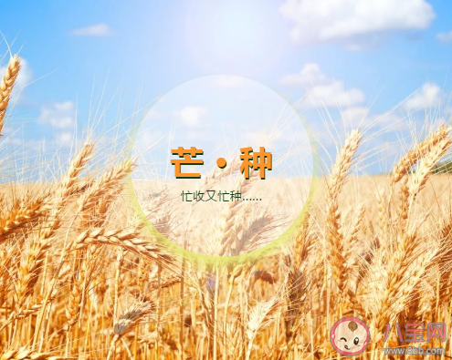 芒種節(jié)氣吃什么食物 芒種吃東西有什么講究