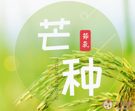 2020今日芒種早安心語簡短說說帶圖 2020芒種節氣早安的個性簡短文案