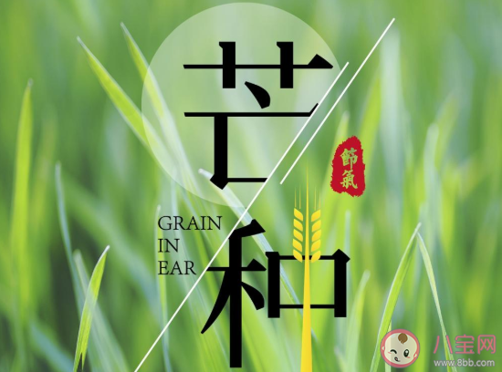 2020今日芒種早安心語簡短說說帶圖 2020芒種節氣早安的個性簡短文案