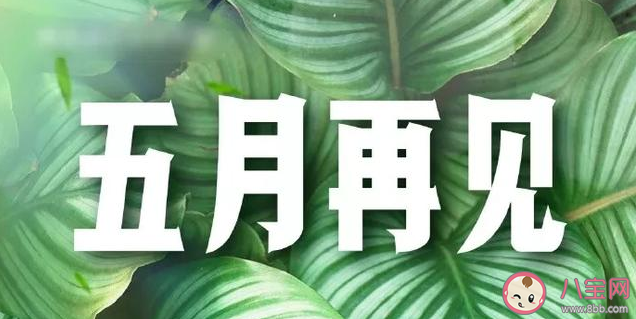 2020五月最后一天的朋友圈文案句子 五月最后一天的正能量勵志句子
