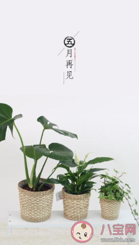 五月最后一天說說帶圖片大全 五月最后一天說說配圖句子