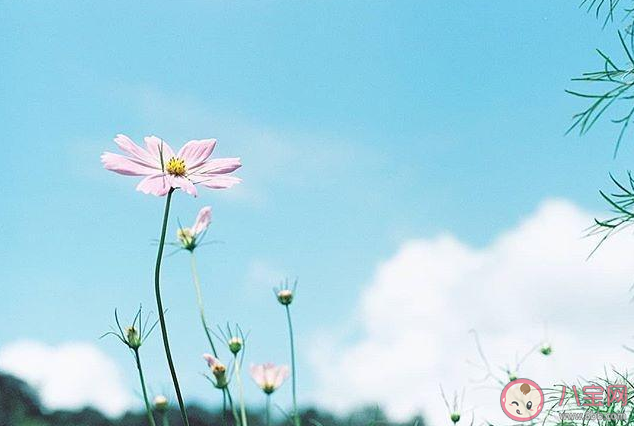 2020五月最后一天的朋友圈文案句子 五月最后一天的正能量勵志句子