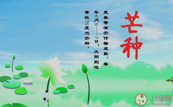 2020芒種節氣發朋友圈的正能量說說語錄 2020芒種節氣朋友圈祝福語說說大全