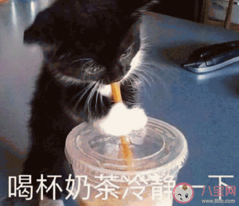 見過最奇葩的面試經歷是什么 遇到過的奇葩面試有哪些 見過最奇葩的面試經歷是什么 遇到過的奇葩面試有哪些