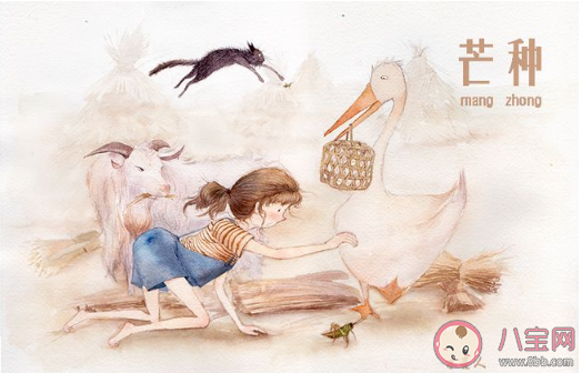 關(guān)于芒種節(jié)氣的句子2020 芒種節(jié)氣寫什么說說發(fā)朋友圈 關(guān)于芒種節(jié)氣的句子2020 芒種節(jié)氣寫什么說說發(fā)朋友圈