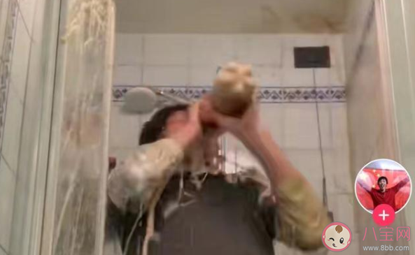 龍吸水是什么意思 龍吸水現象是怎么形成的