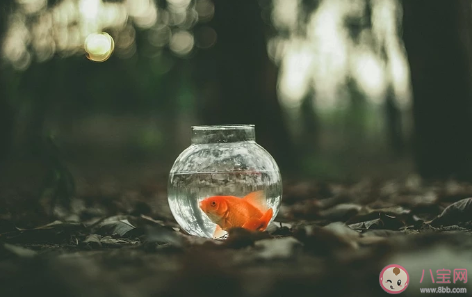 現實生活很殘酷的心情語錄 現實生活很殘酷的心情說說大全