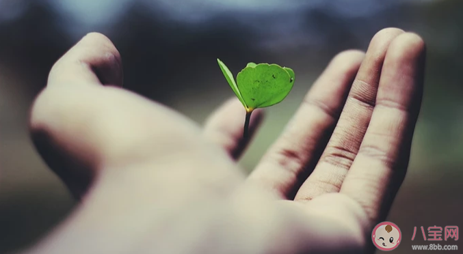 現實生活很殘酷的心情語錄 現實生活很殘酷的心情說說大全