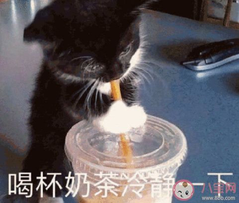 室友做過最讓你暖心的事有哪些 和室友相處的暖心瞬間是什么