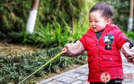 鼠年寶寶起名哪個(gè)字好聽(tīng)  鼠年寶寶有寓意的名字大全