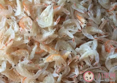 芒種蝦皮是什么意思 芒種蝦皮如何辨別真假 芒種蝦皮是什么意思 芒種蝦皮如何辨別真假