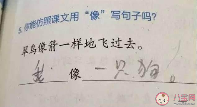 做過哪些奇奇怪怪的作業(yè) 奇奇怪怪的作業(yè)盤點(diǎn)