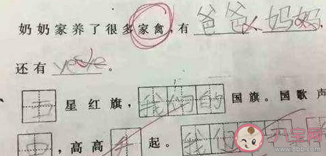 做過哪些奇奇怪怪的作業(yè) 奇奇怪怪的作業(yè)盤點(diǎn)