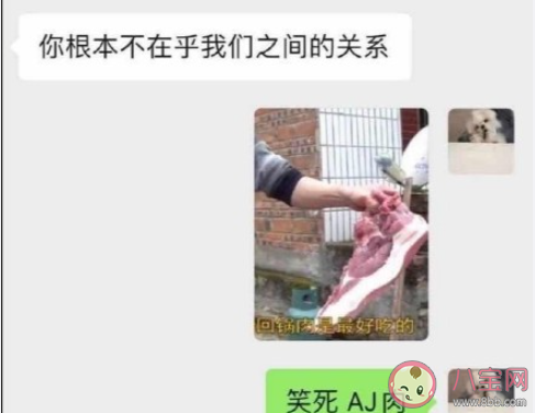 笑死企鵝肉什么梗 笑死企鵝肉為什么火了