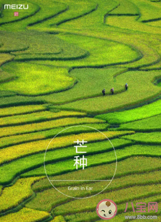 2020芒種創(chuàng)意海報文案合集 各品牌芒種文案大全