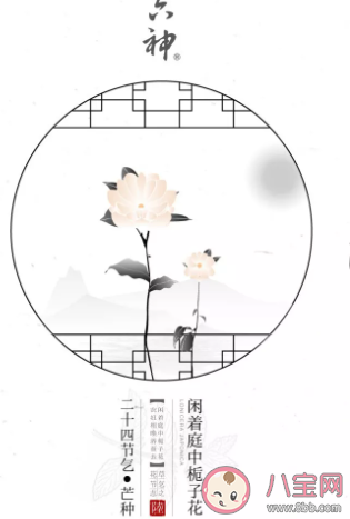 2020芒種創(chuàng)意海報文案合集 各品牌芒種文案大全