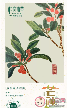 2020芒種創(chuàng)意海報文案合集 各品牌芒種文案大全