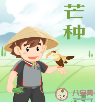 2020芒種文案怎么寫有創意 芒種創意文案大全