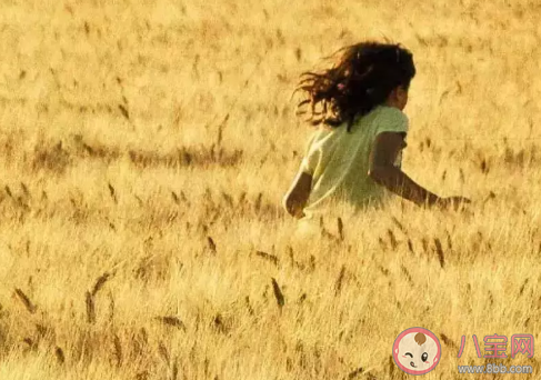 二十四節氣芒種手抄報圖片模板 簡單漂亮的芒種手抄報 二十四節氣芒種手抄報圖片模板 簡單漂亮的芒種手抄報