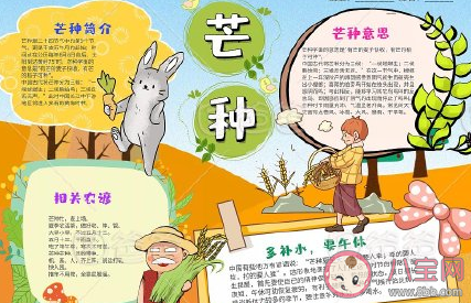 二十四節氣芒種手抄報圖片模板 簡單漂亮的芒種手抄報 二十四節氣芒種手抄報圖片模板 簡單漂亮的芒種手抄報