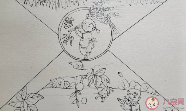 二十四節氣芒種手抄報圖片模板 簡單漂亮的芒種手抄報 二十四節氣芒種手抄報圖片模板 簡單漂亮的芒種手抄報