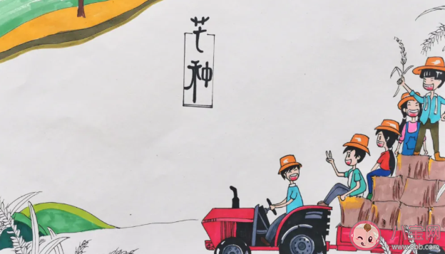 二十四節(jié)氣芒種手抄報圖片模板 簡單漂亮的芒種手抄報