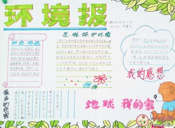世界環境日手抄報模板合集  世界環境日手抄報內容素材大全